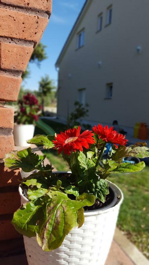 Apartmani "Sandro" Gonar Rab Town Exterior foto